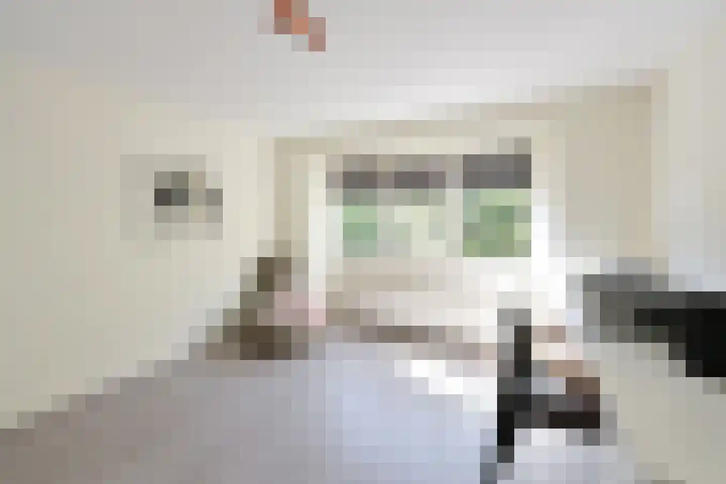 Van der Duyn van Maasdamlaan 20 Huizen thumbnail 12