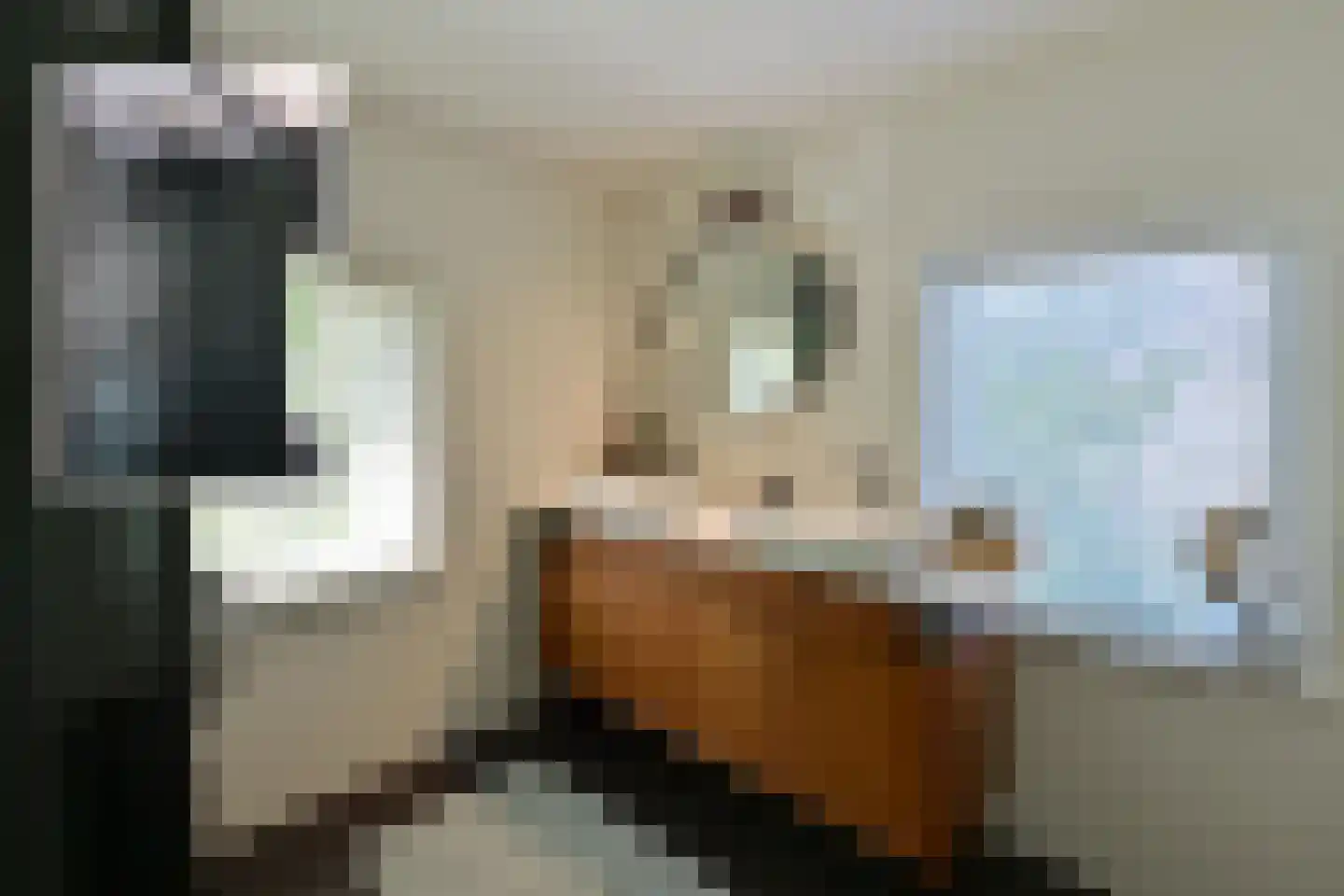 Van der Duyn van Maasdamlaan 20 Huizen thumbnail 13