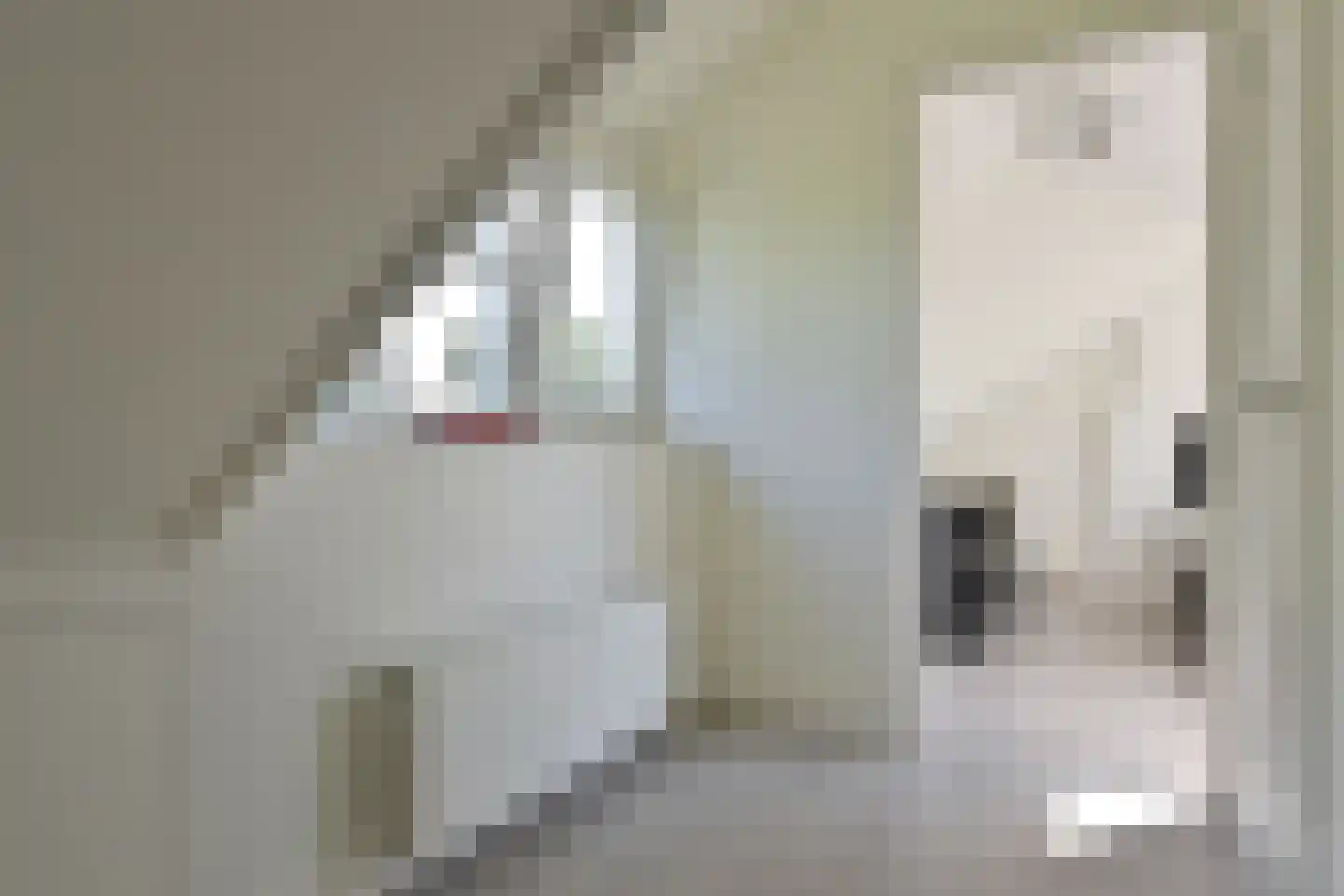 Van der Duyn van Maasdamlaan 20 Huizen thumbnail 15