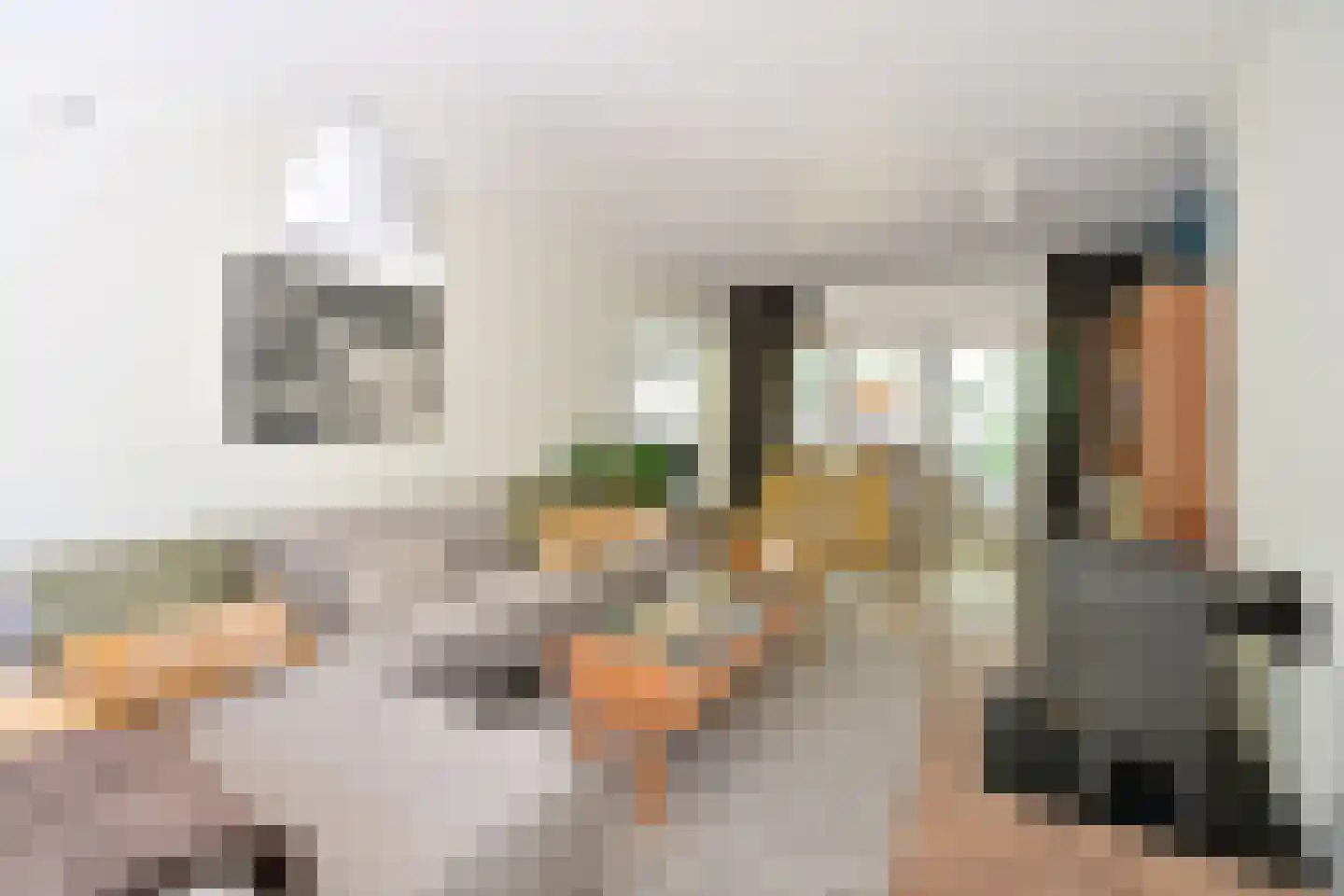 Van der Duyn van Maasdamlaan 20 Huizen thumbnail 4