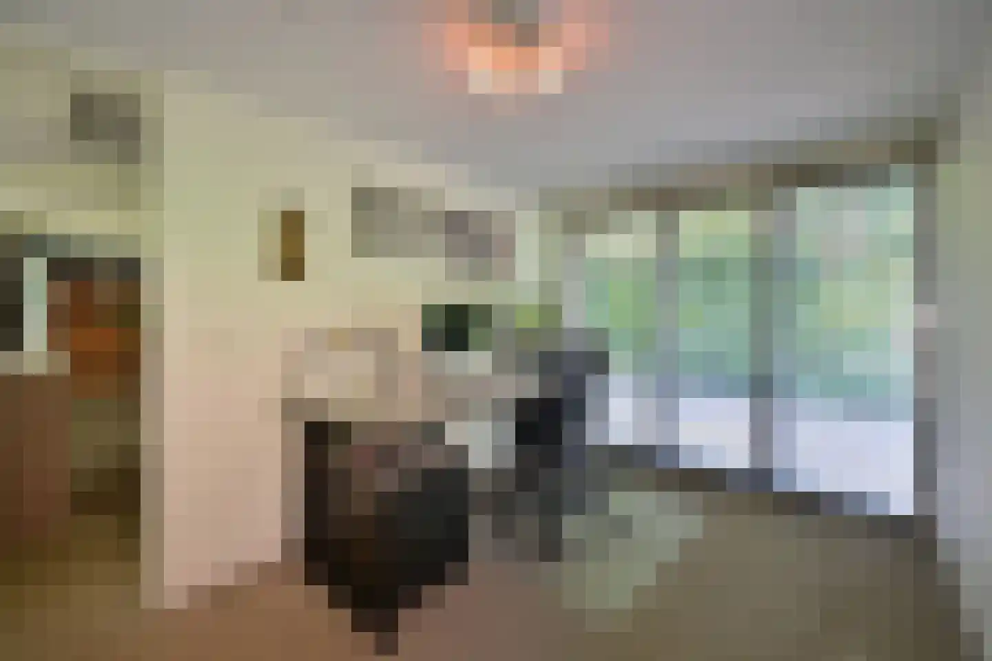 Van der Duyn van Maasdamlaan 20 Huizen thumbnail 9