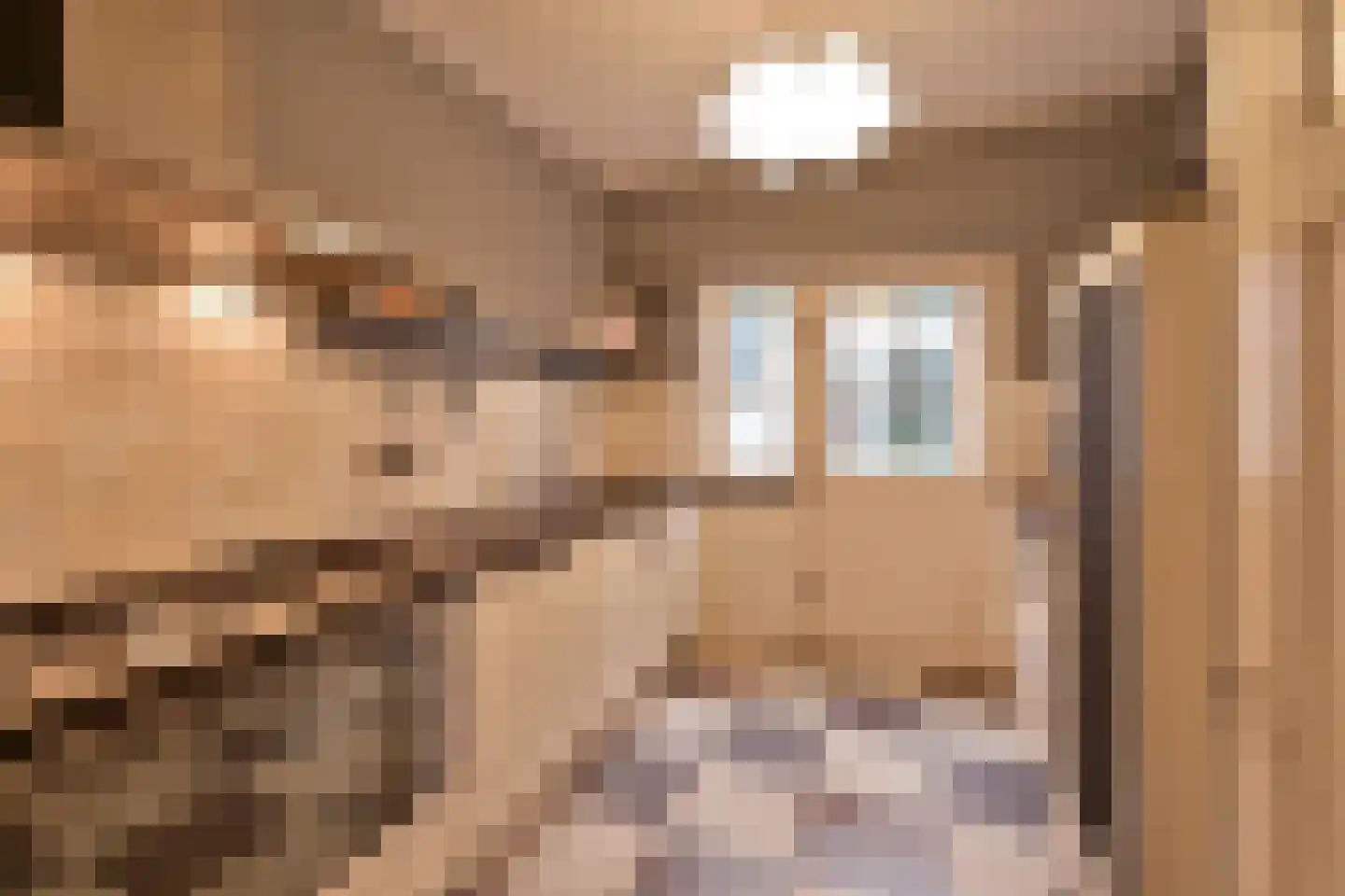 Van der Duyn van Maasdamlaan 28 Huizen thumbnail 5
