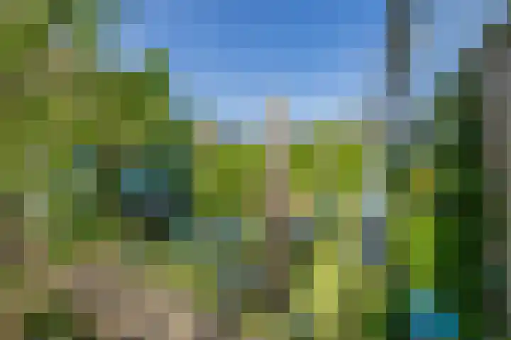 Van der Duyn van Maasdamlaan 33 Hillegom thumbnail 16