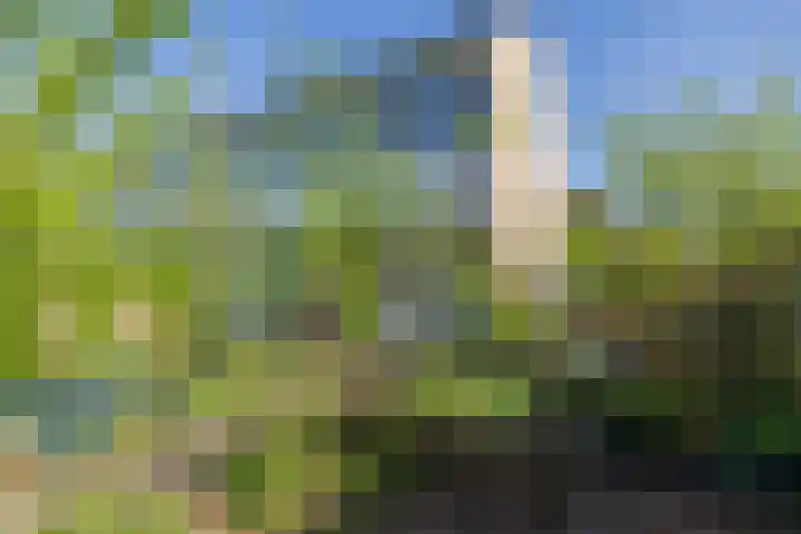 Van der Duyn van Maasdamlaan 33 Hillegom thumbnail 18