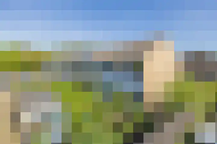 Van der Duyn van Maasdamlaan 33 Hillegom thumbnail 29