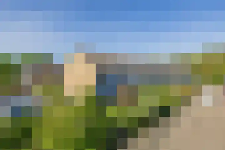 Van der Duyn van Maasdamlaan 33 Hillegom thumbnail 35