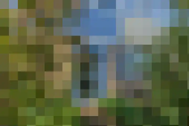 Van der Duyn van Maasdamlaan 33 Hillegom thumbnail 4