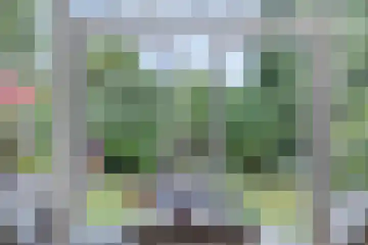 Van der Duyn van Maasdamlaan 4 Arnhem thumbnail 15