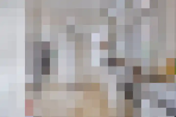Van der Duyn van Maasdamlaan 4 Arnhem thumbnail 21