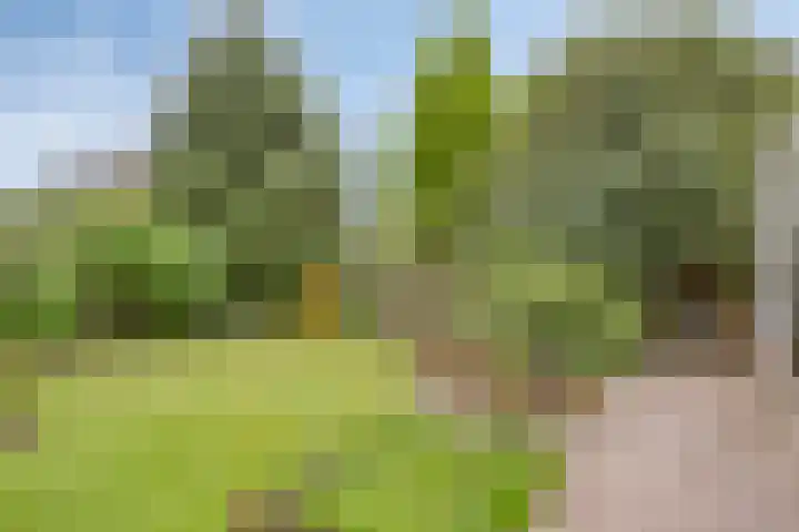 Van der Duyn van Maasdamlaan 4 Arnhem thumbnail 48