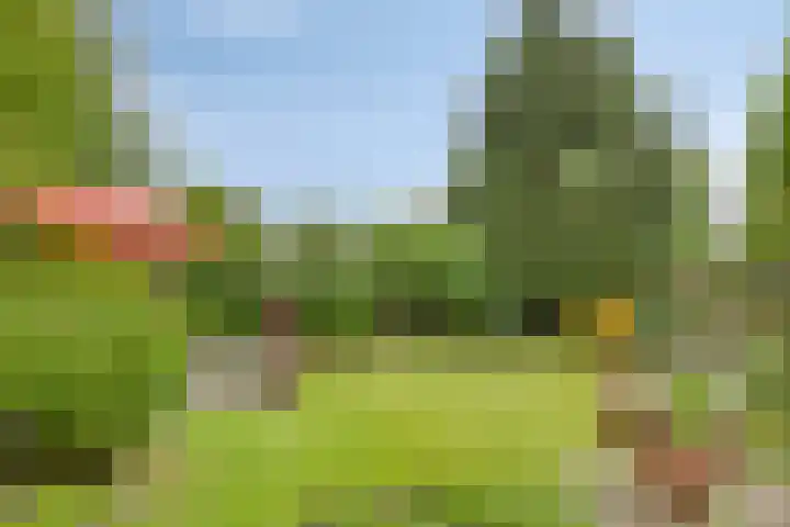 Van der Duyn van Maasdamlaan 4 Arnhem thumbnail 49