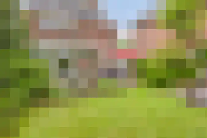 Van der Duyn van Maasdamlaan 4 Arnhem thumbnail 50