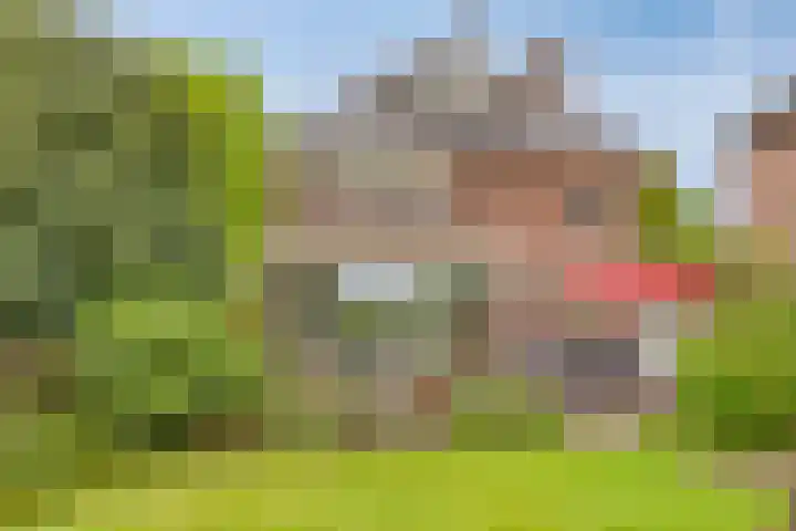 Van der Duyn van Maasdamlaan 4 Arnhem thumbnail 52