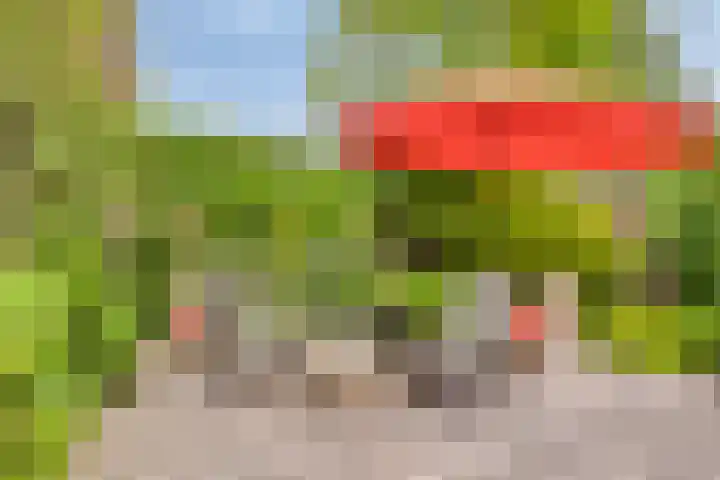 Van der Duyn van Maasdamlaan 4 Arnhem thumbnail 53