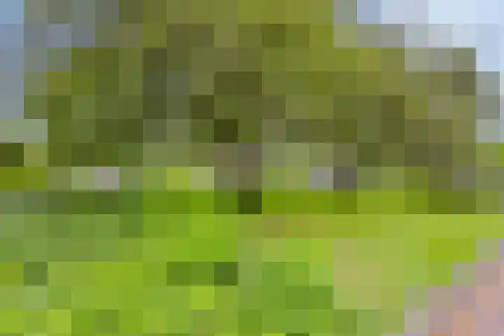 Van der Duyn van Maasdamlaan 4 Arnhem thumbnail 55