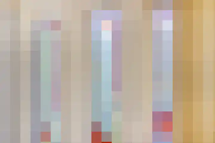 Van der Duyn van Maasdamlaan 4 Arnhem thumbnail 7