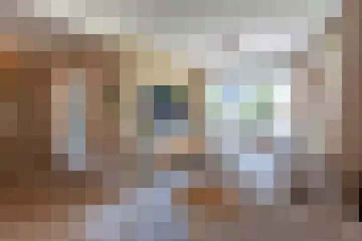 Van der Duyn van Maasdamlaan 51 Hillegom thumbnail 13