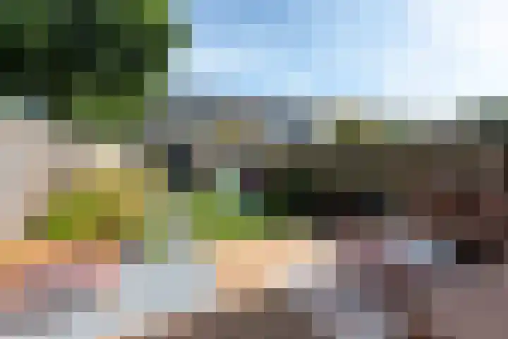 Van der Duyn van Maasdamlaan 51 Hillegom thumbnail 16