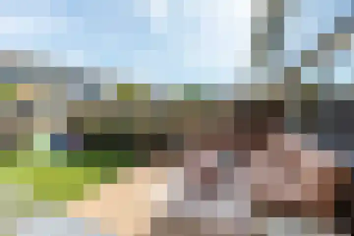 Van der Duyn van Maasdamlaan 51 Hillegom thumbnail 17