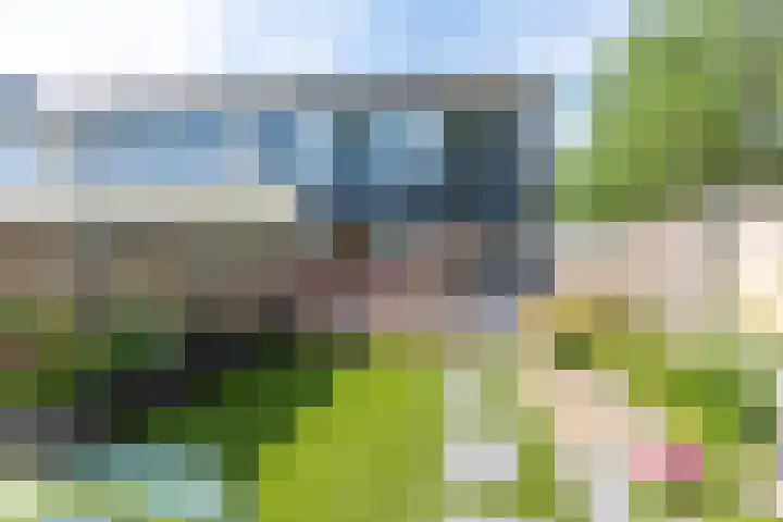 Van der Duyn van Maasdamlaan 51 Hillegom thumbnail 18