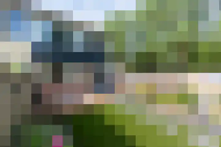 Van der Duyn van Maasdamlaan 51 Hillegom thumbnail 19