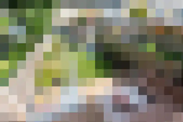 Van der Duyn van Maasdamlaan 51 Hillegom thumbnail 32
