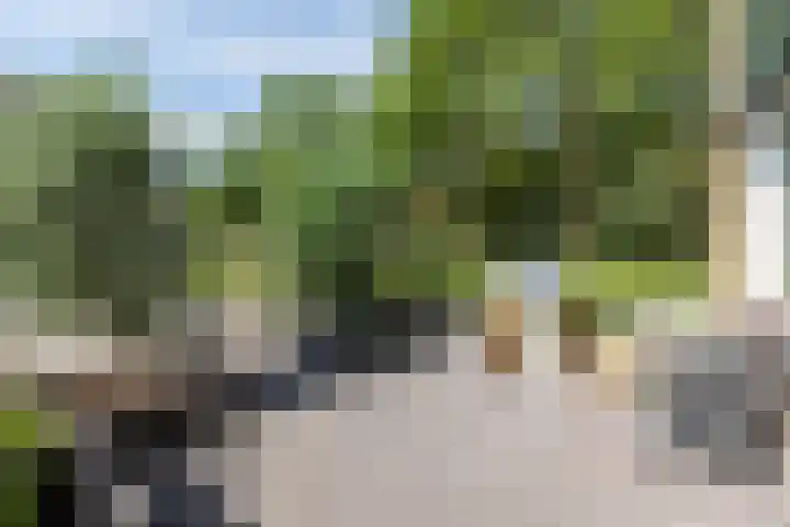 Van der Duyn van Maasdamlaan 51 Hillegom thumbnail 37