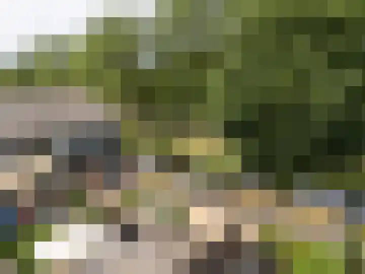 Van der Duyn van Maasdamlaan 51 Hillegom thumbnail 40