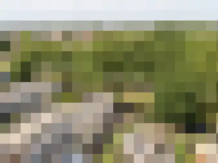 Van der Duyn van Maasdamlaan 51 Hillegom thumbnail 41