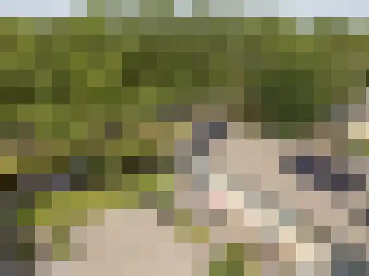 Van der Duyn van Maasdamlaan 51 Hillegom thumbnail 42