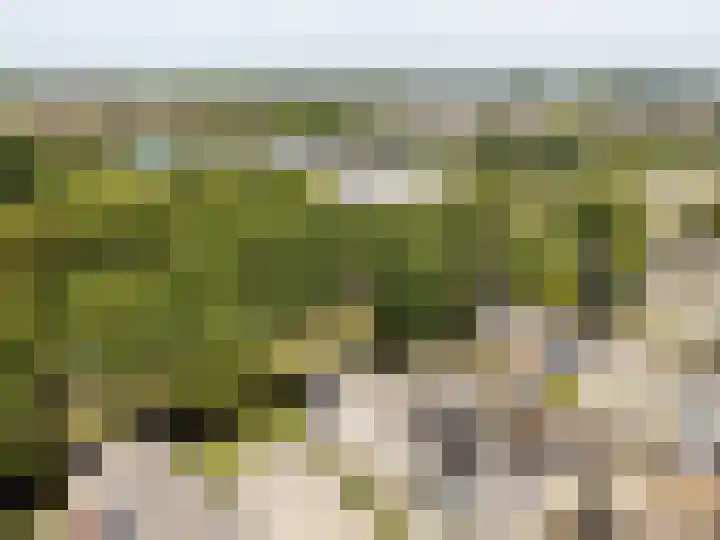 Van der Duyn van Maasdamlaan 51 Hillegom thumbnail 43