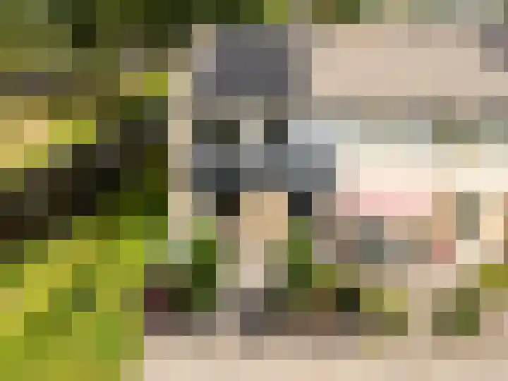 Van der Duyn van Maasdamlaan 51 Hillegom thumbnail 44