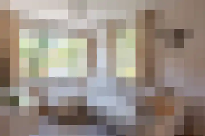Van der Duyn van Maasdamlaan 51 Hillegom thumbnail 6