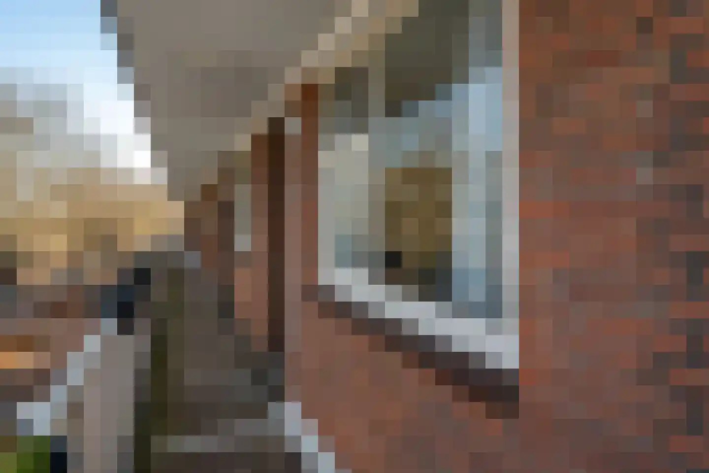 van der Duyn van Maasdamlaan 88 C Vlaardingen thumbnail 6