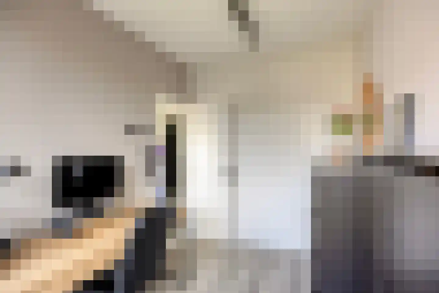 van der Duyn van Maasdamlaan 94 C Vlaardingen thumbnail 21