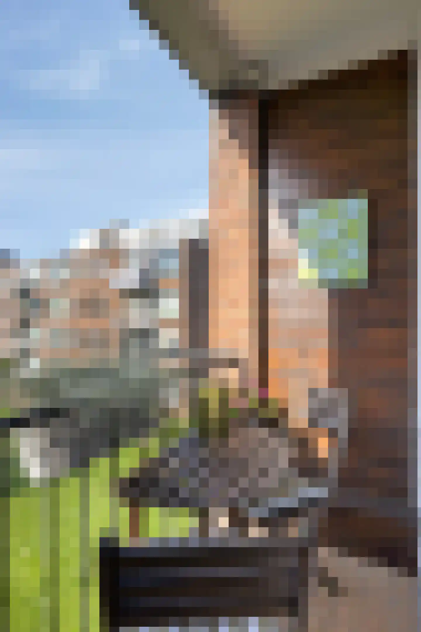 van der Duyn van Maasdamlaan 94 C Vlaardingen thumbnail 23