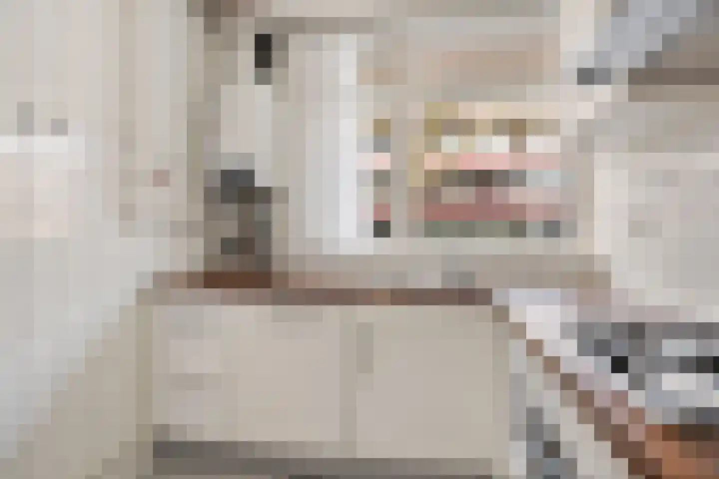 van der Duyn van Maasdamlaan 96 A Vlaardingen thumbnail 19