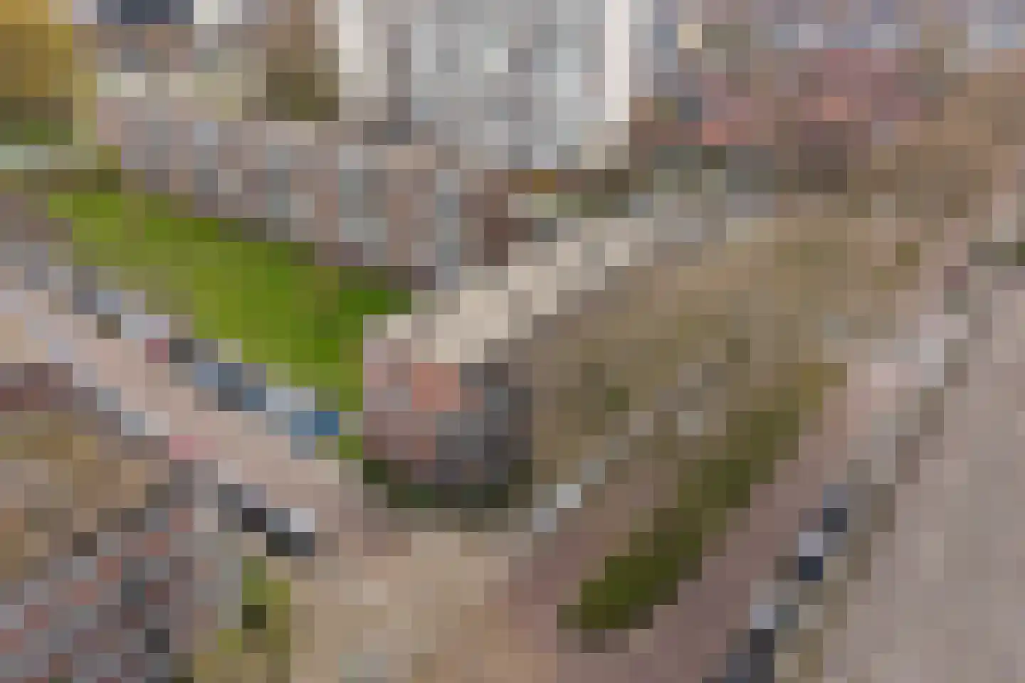 van der Duyn van Maasdamlaan 96 A Vlaardingen thumbnail 33