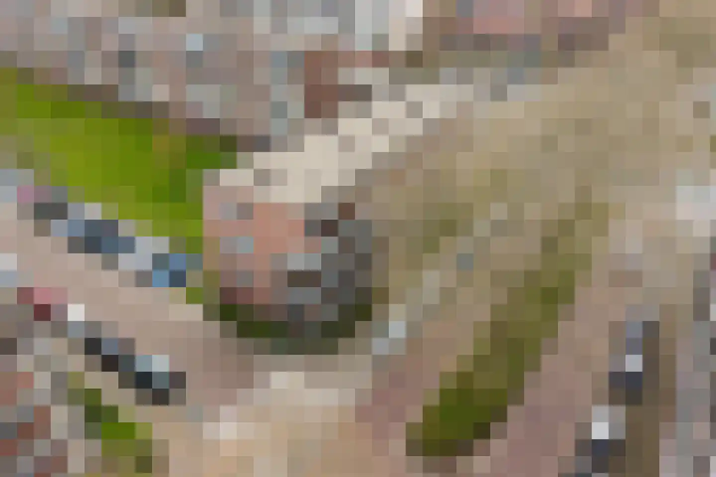 van der Duyn van Maasdamlaan 96 A Vlaardingen thumbnail 5