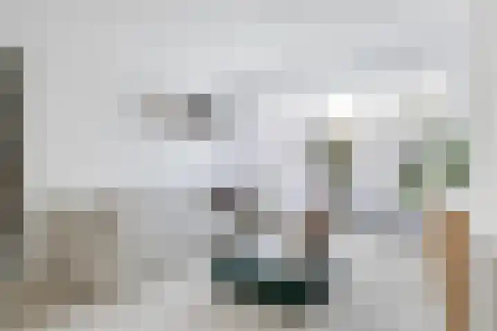 Van der Duyn van Maasdamplantsoen 12 Dordrecht thumbnail 11