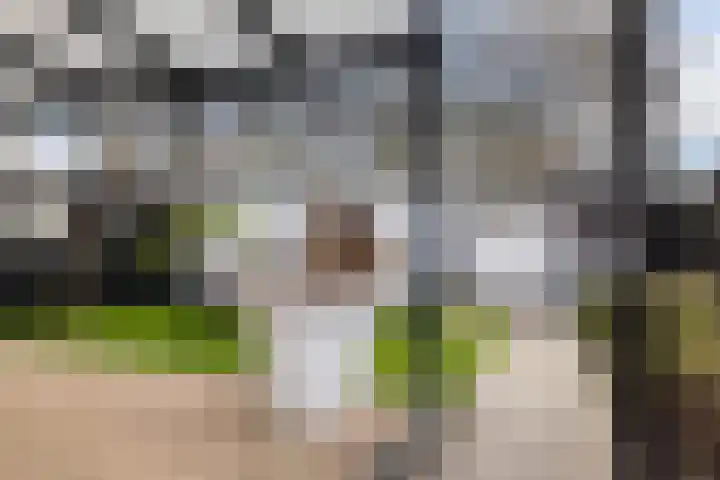 Van der Duyn van Maasdamplantsoen 12 Dordrecht thumbnail 18