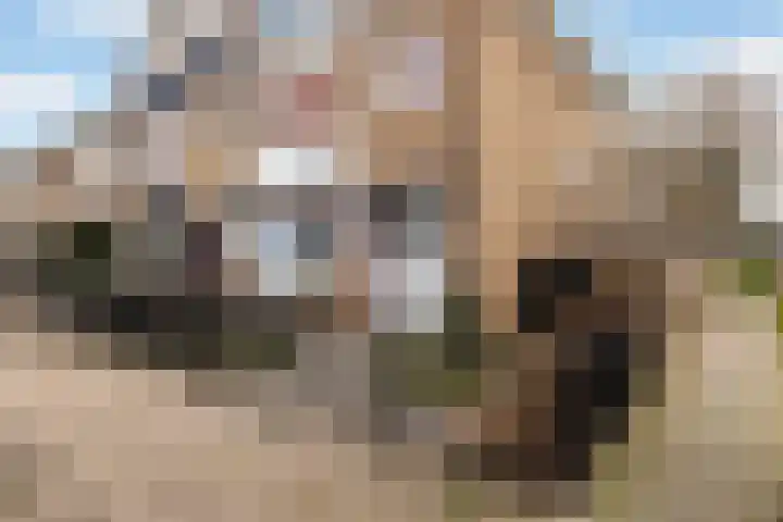 Van der Duyn van Maasdamplantsoen 12 Dordrecht thumbnail 32