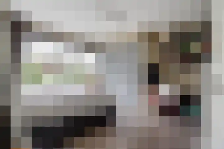 Van der Duyn van Maasdamplantsoen 25 Dordrecht thumbnail 17