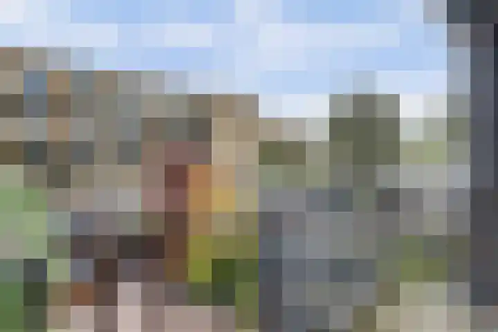 Van der Duyn van Maasdamplantsoen 25 Dordrecht thumbnail 33
