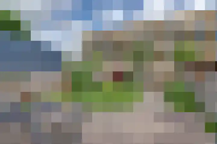 Van der Duyn van Maasdamplantsoen 29 Dordrecht thumbnail 33