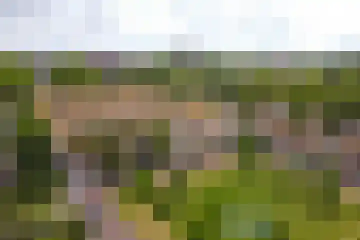 Van der Duyn van Maasdamplantsoen 29 Dordrecht thumbnail 37