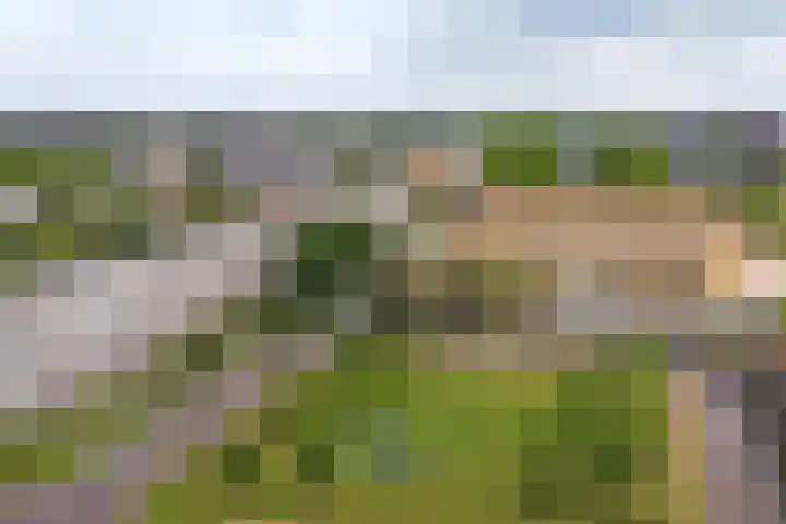 Van der Duyn van Maasdamplantsoen 29 Dordrecht thumbnail 38