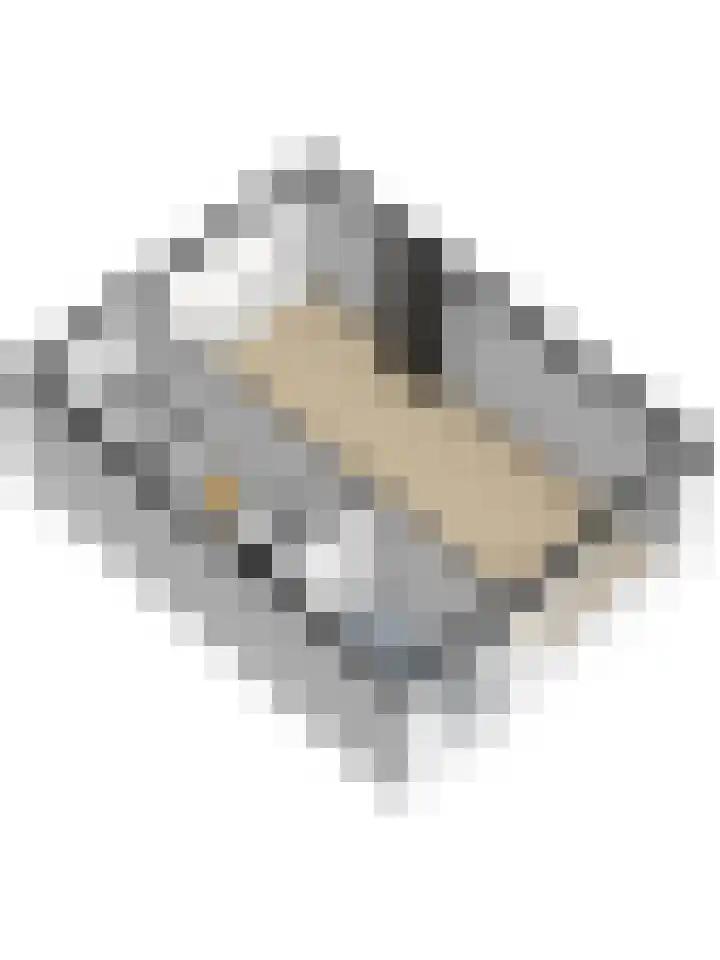 Van der Duyn van Maasdamplantsoen 29 Dordrecht thumbnail 43