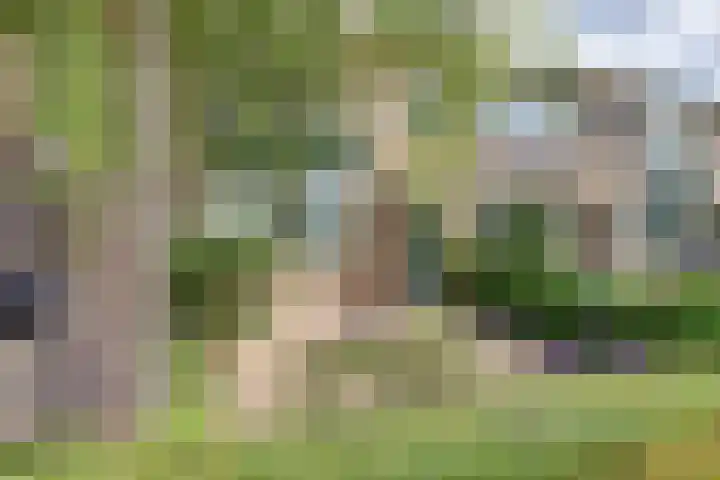 Van der Duyn van Maasdamplantsoen 29 Dordrecht thumbnail 46