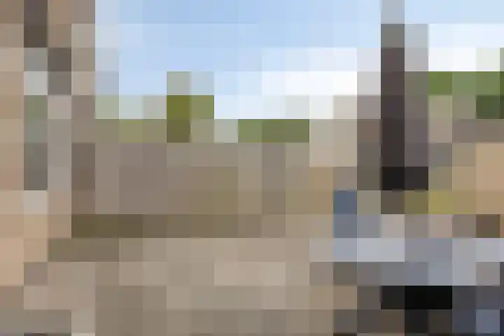 Van der Duyn van Maasdamplantsoen 7 Dordrecht thumbnail 11
